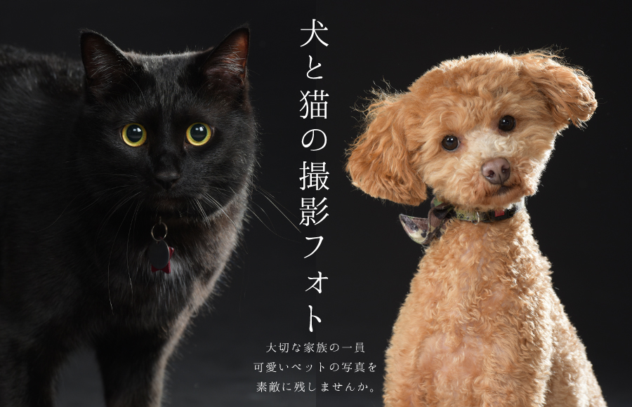 メインビジュアル1